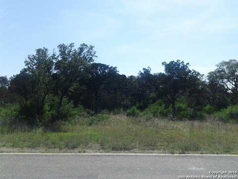 20007 Terra Canyon, San Antonio, TX 78255