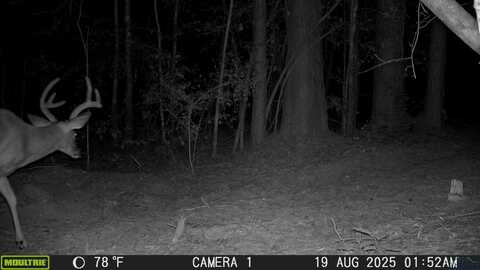 Tbd TX 43/CR 3106, Jefferson, TX 75657