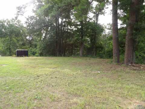 3072 N Point Pleasant Rd, Gladewater, TX 75647