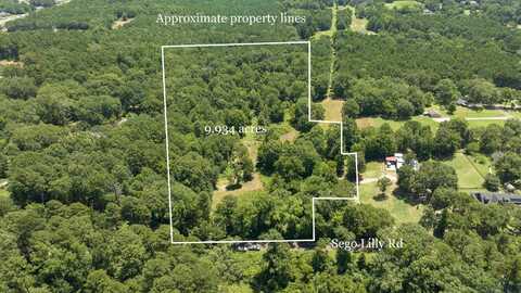 Tbd Sego Lily, Diana, TX 75640