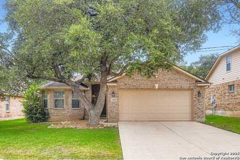 1310 Mineral Hills, San Antonio, TX 78260