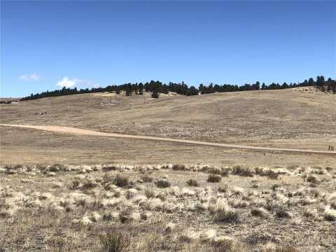 121 COMMANCHE TRAIL, Hartsel, CO 80449
