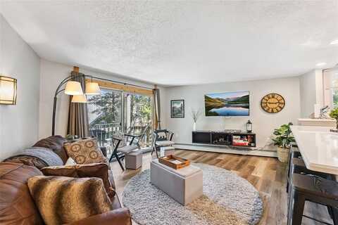 1105 SKI HILL ROAD, Breckenridge, CO 80424