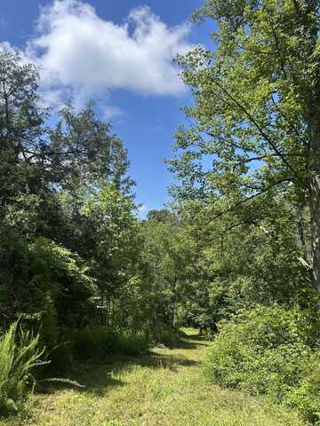 139 Dorsey Tolson Road, Campton, KY 41301