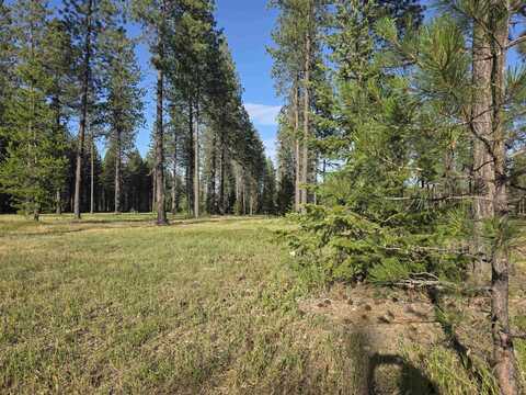 8841 Coyote Trail Rd, Newport, WA 99156