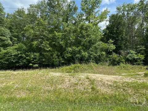 0 Reedsville Road, Clyo, GA 31303