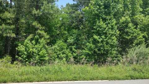 00 Lot1 Meagen Lane, Manning, SC 29102