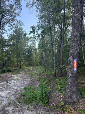 5250 Seymour Road, Dalzell, SC 29404