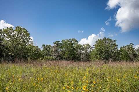 4105 Lomax Harmel Road, Carmine, TX 78932