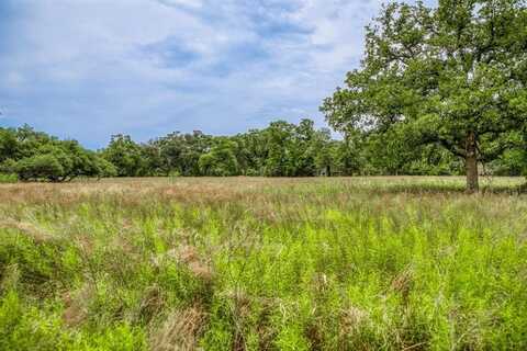TBD CR 125, Hallettsville, TX 77964