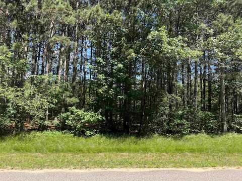 2.12 Acres Southview Drive, Necedah, WI 54666
