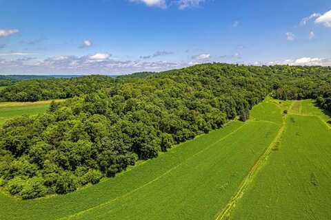 80 Acres 020-1133-000, 020-1134-0000, Richland Center, WI 53581