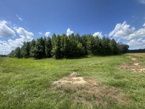 20 Acres M/L, CR-614, Broseley, MO 63932