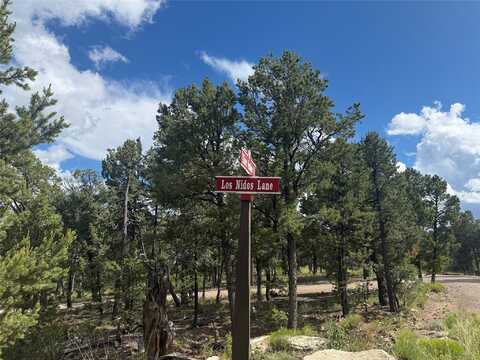 Lot 16 Los Nidos, Pecos, NM 87552