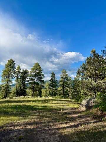Owls 2a Blue Spruce Trail, Chama, NM 87520