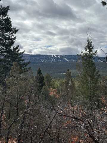 Tbd HWY 95, Los Ojos, NM 87551