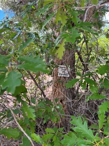 SPRUCE TRAIL LOT 3, Chama, NM 87520