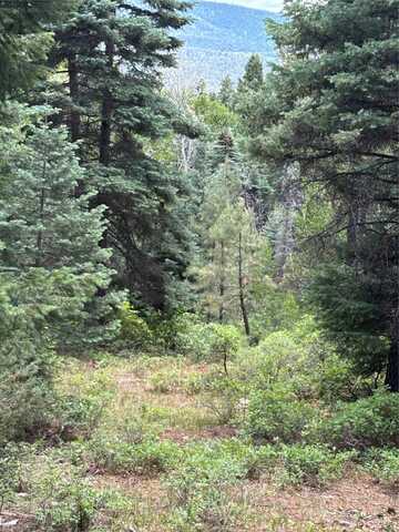 Tbd SPRUCE TRAIL LOT 2, Chama, NM 87520