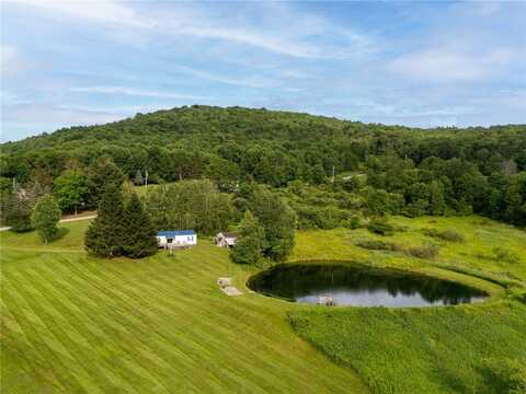 1635 Chipmunk Hollow Road, Walton, NY 13856