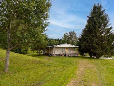 1635 Chipmunk Hollow Road, Walton, NY 13856
