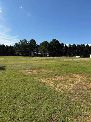 0 Georgia Mountain Rd, Guntersville, AL 35976