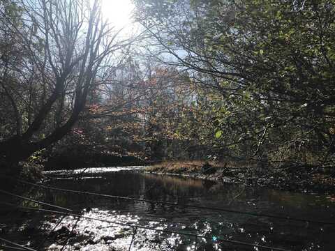 00 Old Weatherford Creek Rd, Lutts, TN 38471