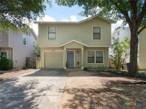10619 Marshitahs Way, Austin, TX 78748