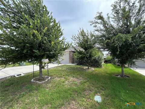 2441 Arctic Warbler, New Braunfels, TX 78130
