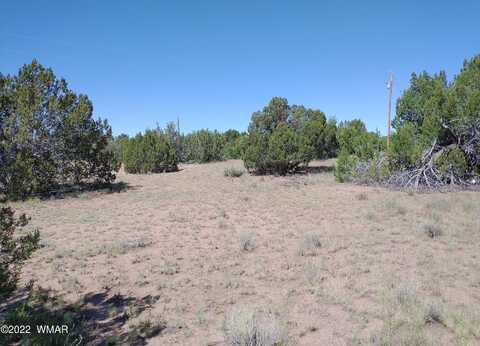 Spring Drive, Concho, AZ 85924
