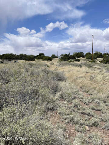 Short Lane, Concho, AZ 85924