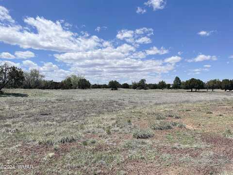 Pate Lane, Concho, AZ 85924