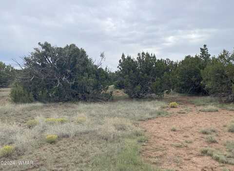 Colorado Avenue, Concho, AZ 85924