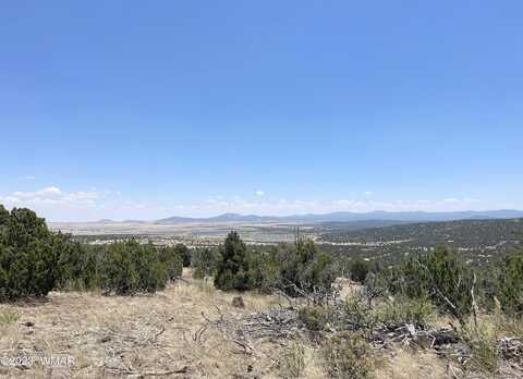 Alaska Avenue, Concho, AZ 85924