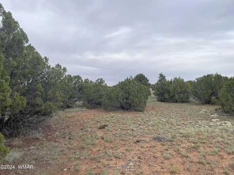 California Avenue, Concho, AZ 85924