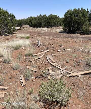 California Avenue, Concho, AZ 85924