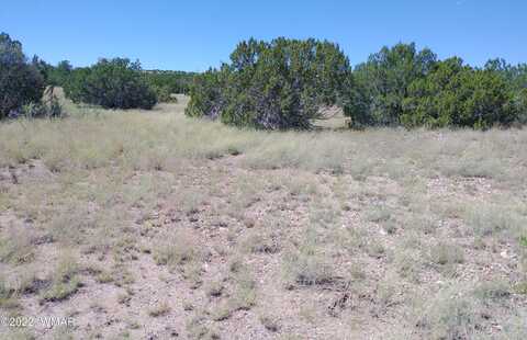 Concho Drive, Concho, AZ 85924