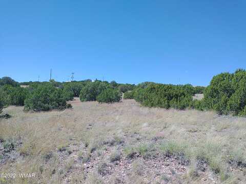 Navajo Drive, Concho, AZ 85924