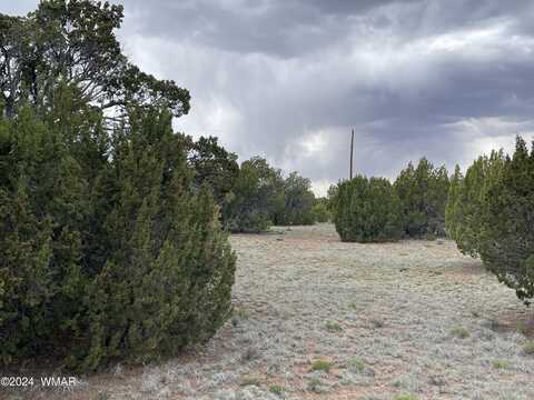 Wood Lane, Concho, AZ 85924