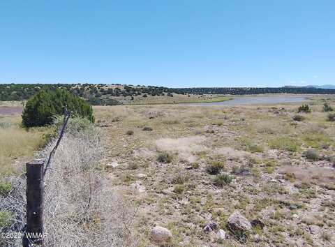 Highway 61, Concho, AZ 85924