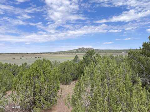 Navajo Drive, Concho, AZ 85924