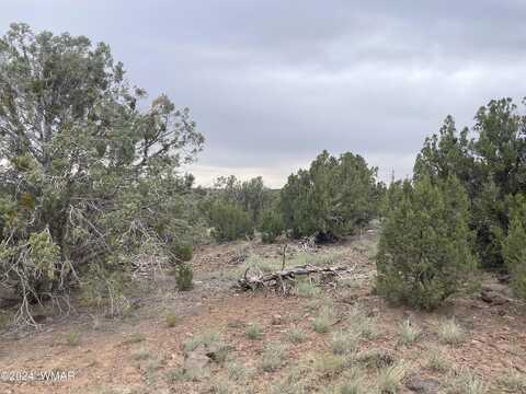 Cr 8117, Concho, AZ 85924