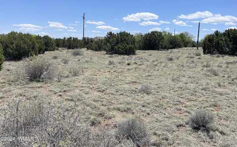 Dawn Lane, Concho, AZ 85924