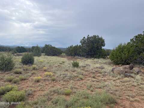 Arkansas Avenue, Concho, AZ 85924