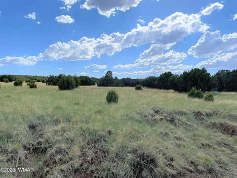 County Road 3035, CONCHO, AZ 85924