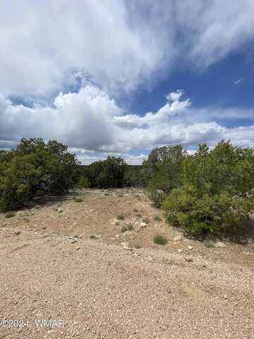 County Road 3045, CONCHO, AZ 85924