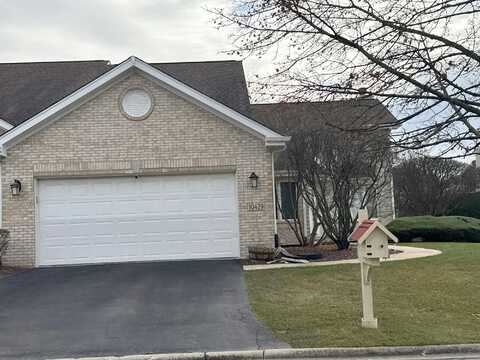 Elderberry, ORLAND PARK, IL 60467