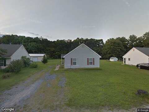 Pine, FRUITLAND, MD 21826