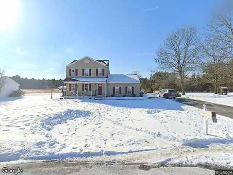 Pheasant, SOUTH GLENS FALLS, NY 12803
