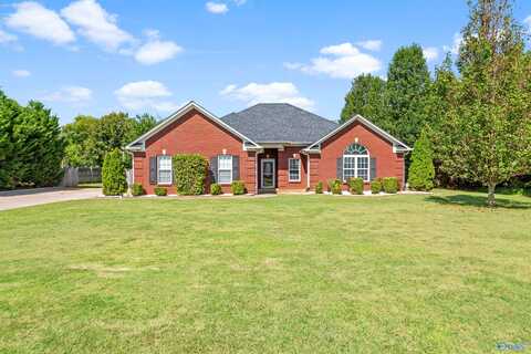 Hunters Cove, HUNTSVILLE, AL 35806