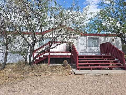 Saguaro, MEADVIEW, AZ 86444